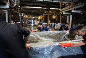 از دباغ‌خانه تا کارخانه؛ سفری از سنت به صنعت
