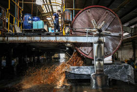 پوست بعد از تمیز شدن حجم آب زیادی را به خود جذب کرده و ضخامت بیشتری پیدا می‌کند. در این مرحله، پوست را به شکل لایه‌های مختلف برش می‌زنند و ضخامت پوست را باتوجه‌به نیاز خود تنظیم می‌کنند.