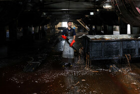قدیمی‌ترین شواهد استفاده از چرم در ایران به حدود ۷۰۰۰ سال پیش از میلاد باز می‌گردد.