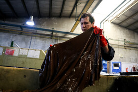 به طور معمول برای دباغی کردن چرم، آن را در محلولی که بر پایه‌ی کروم، تانن‌های گیاهی، جایگزین‌های عاری از کروم و یا ترکیبی از این مواد تهیه می‌شود، غوطه‌ور می‌کنند.