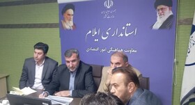 معاون استاندار: در پرداخت تسهیلات در ایلام جهش داشتیم/ تضامین و وثایق همچنان مشکل تسهیلات 