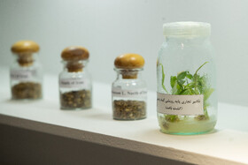 نمایشگاه دستاوردهای علمی و فناورانه جهاد دانشگاهی