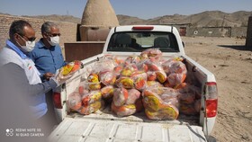 معدوم‌سازی فرآورده دامی غیرقابل مصرف در زاهدان