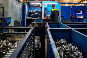 تور رسانه‌ای قوه قضاییه با موضوع حمایت از تولید و رفع موانع صنعتی