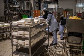 تور رسانه‌ای قوه قضاییه با موضوع حمایت از تولید و رفع موانع صنعتی