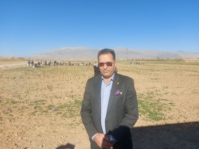 آمادگی سازمان تحقیقات، آموزش و ترویج کشاورزی برای حمایت از توسعه گیاهان دارویی در استان ها