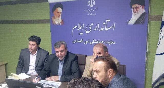 معاون استاندار: در پرداخت تسهیلات در ایلام جهش داشتیم/ تضامین و وثایق همچنان مشکل تسهیلات 