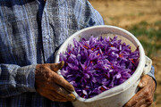 زعفران؛ از سفره ایرانی تا دفع بلا!