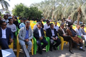 رئیس جهاد کشاورزی جنوب کرمان: الگوی کشت با رویکرد تغییر اقلیم در این منطقه دنبال می‌شود