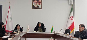 تدوین سند تحول معاونت تعاون بنیاد شهید و امور ایثارگران