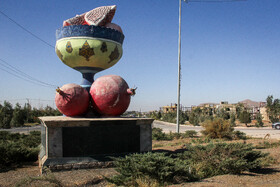 برداشت انار در منطقه «باغ‌نو» بجستان - خراسان رضوی