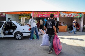 برداشت زعفران - فاروج