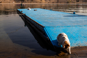 مسابقات قهرمانی کشور قایقرانی آب‌های آرام  در بخش آقایان