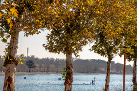 مسابقات قهرمانی کشور قایقرانی آب‌های آرام  در بخش آقایان