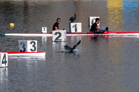 مسابقات قهرمانی کشور قایقرانی آب‌های آرام  در بخش آقایان