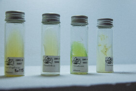 سومین روز نمایشگاه دستاوردهای علمی و فناورانه جهاد دانشگاهی