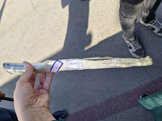 شگرد جدید زورگیران برای فرار از مجازاتهای سنگین