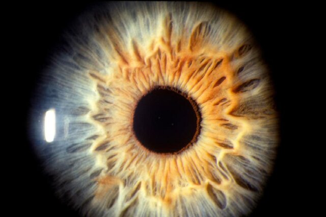 سنجش بینایی به سنجش هوش مصنوعی تبدیل میشود