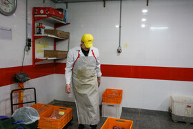 بازدید خبرنگاران از یک واحد تولیدی مواد غذایی - مشهد