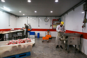 بازدید خبرنگاران از یک واحد تولیدی مواد غذایی - مشهد