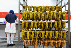 بازدید خبرنگاران از یک واحد تولیدی مواد غذایی - مشهد