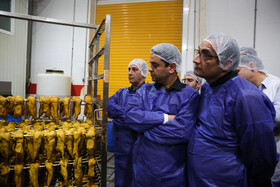 بازدید خبرنگاران از یک واحد تولیدی مواد غذایی - مشهد