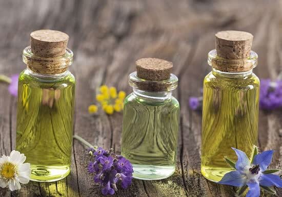 عطر طبیعت در خدمت داروسازی/ رایحه دل‌انگیز گیاهان دارویی تنها برای لذت بوییدن نیست