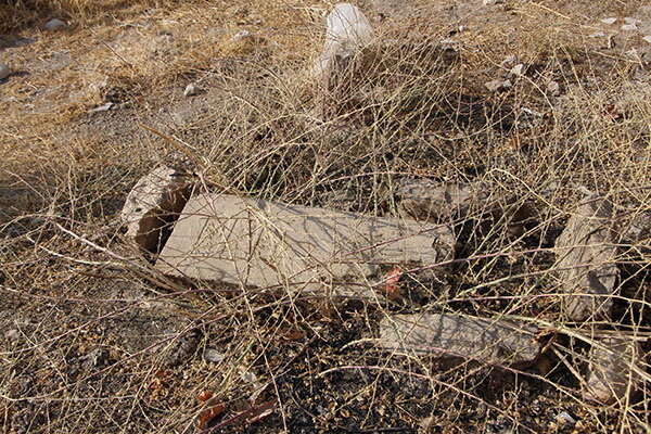 جویندگان گنج گورستان قاجاری را زیر و رو کردهاند