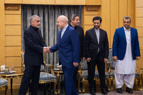 محمدباقر قالیباف، رئیس مجلس شورای اسلامی در مراسم بدرقه به کشور  پاکستان