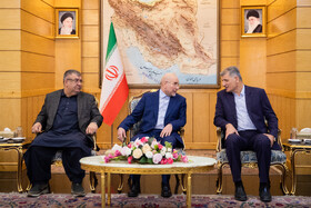 محمدباقر قالیباف، رئیس مجلس شورای اسلامی در مراسم بدرقه به کشور  پاکستان