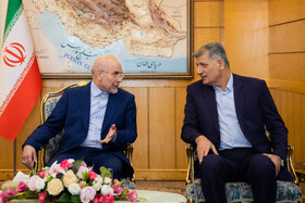 محمدباقر قالیباف، رئیس مجلس شورای اسلامی در مراسم بدرقه به کشور  پاکستان