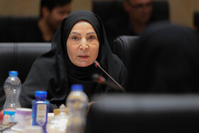 خامسی عضو شورای اسلامی شهر یزد در نشست خبری برگزاری دومین اجلاسیه شهرهای تاریخی ایران