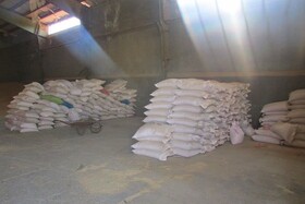 کالاهای احتکاری ۵۰ میلیارد ریالی در توقیف پلیس گرمی