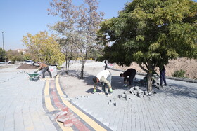 بازدید اصحاب رسانه از محل بلال فروشان لونا پارک