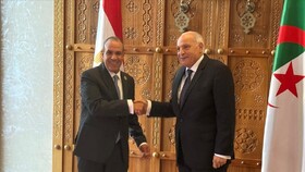 رایزنی مصر و الجزایر درخصوص تثبیت آتش بس در غزه