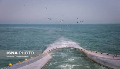 اختصاص ۴۱ درصد صید آب‌های جنوب کشور به سیستان و بلوچستان