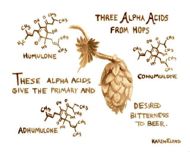تاحالا فکر کرده اید چرا بطری ماءالشعیر سبز یا قهوهای است؟