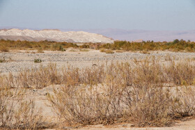 پاییز خشک در طولانی ترین رودخانه شمال غرب