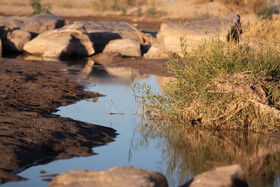 پاییز خشک در طولانی ترین رودخانه شمال غرب