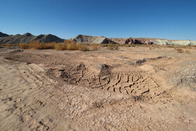 پاییز خشک در طولانی ترین رودخانه شمال غرب