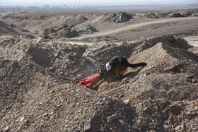 مانور تمام عیار بحران - سمنان