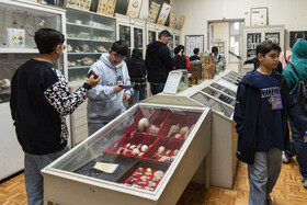 بازدید آزمون‌دهندگان به همراه خانواده‌هایشان از موزه جانورشناسی دانشکده کشاورزی و منابع طبیعی دانشگاه تهران