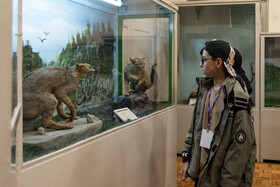 بازدید آزمون‌دهندگان به همراه خانواده‌هایشان از موزه جانورشناسی دانشکده کشاورزی و منابع طبیعی دانشگاه تهران