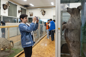 بازدید آزمون‌دهندگان به همراه خانواده‌هایشان از موزه جانورشناسی دانشکده کشاورزی و منابع طبیعی دانشگاه تهران