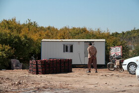 پاییز سرخ لرستان در انارستان زیر تنگ سیاب - کوهدشت