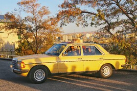 برگزاری همایش خودروهای کلاسیک در همدان؛ جلوه‌ای از تاریخ خودروسازی در قلب ایران