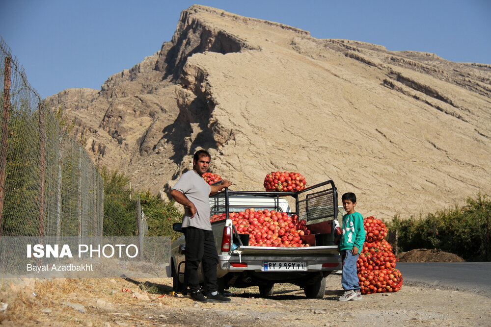 پاییز سرخ لرستان در انارستان زیر تنگ سیاب - کوهدشت