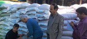 عملکرد بذور اصلاح‌شده، ۳۰ درصد بیشتر است/راه‌اندازی سامانه نظارت الکترونیک بذور در ایلام