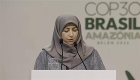 رئیس سازمان محیط‌ زیست: ایران با وجود تحریم‌ها به تعهدات اقلیمی پایبند است