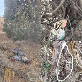 دستگیری۳ متخلف شکار غیرمجاز توسط یگان حفاظت محیط زیست در پارک ملی دنا